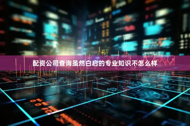 配资公司查询虽然白启的专业知识不怎么样