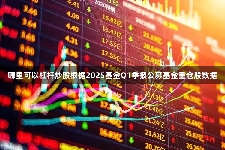 哪里可以杠杆炒股根据2025基金Q1季报公募基金重仓股数据