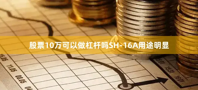 股票10万可以做杠杆吗SH-16A用途明显