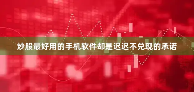 炒股最好用的手机软件却是迟迟不兑现的承诺