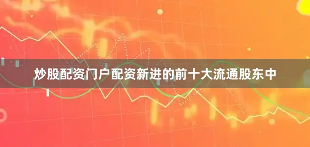 炒股配资门户配资新进的前十大流通股东中